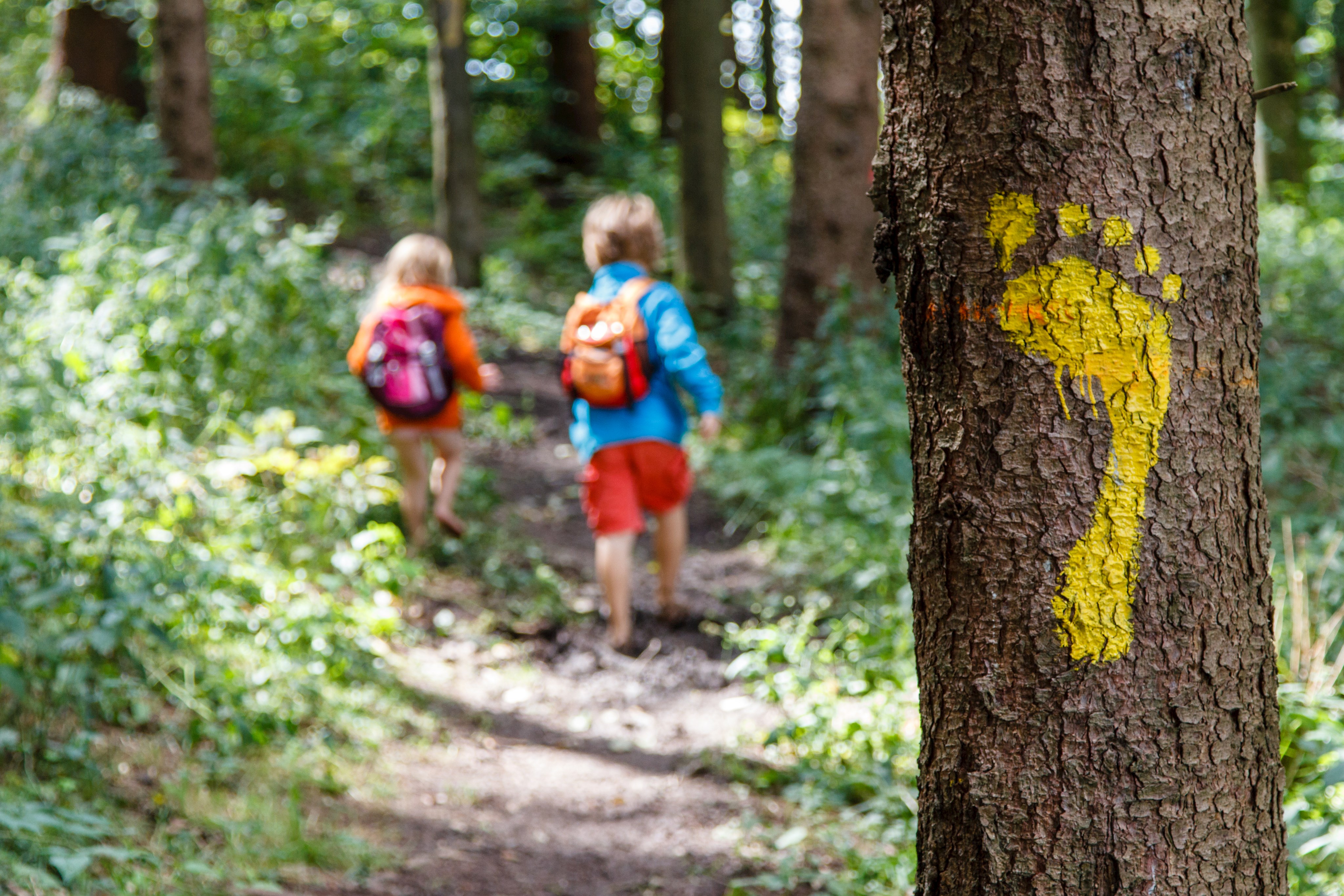 Baumstamm mit gelbem Fußabdruck und Kindern im Hintergrund