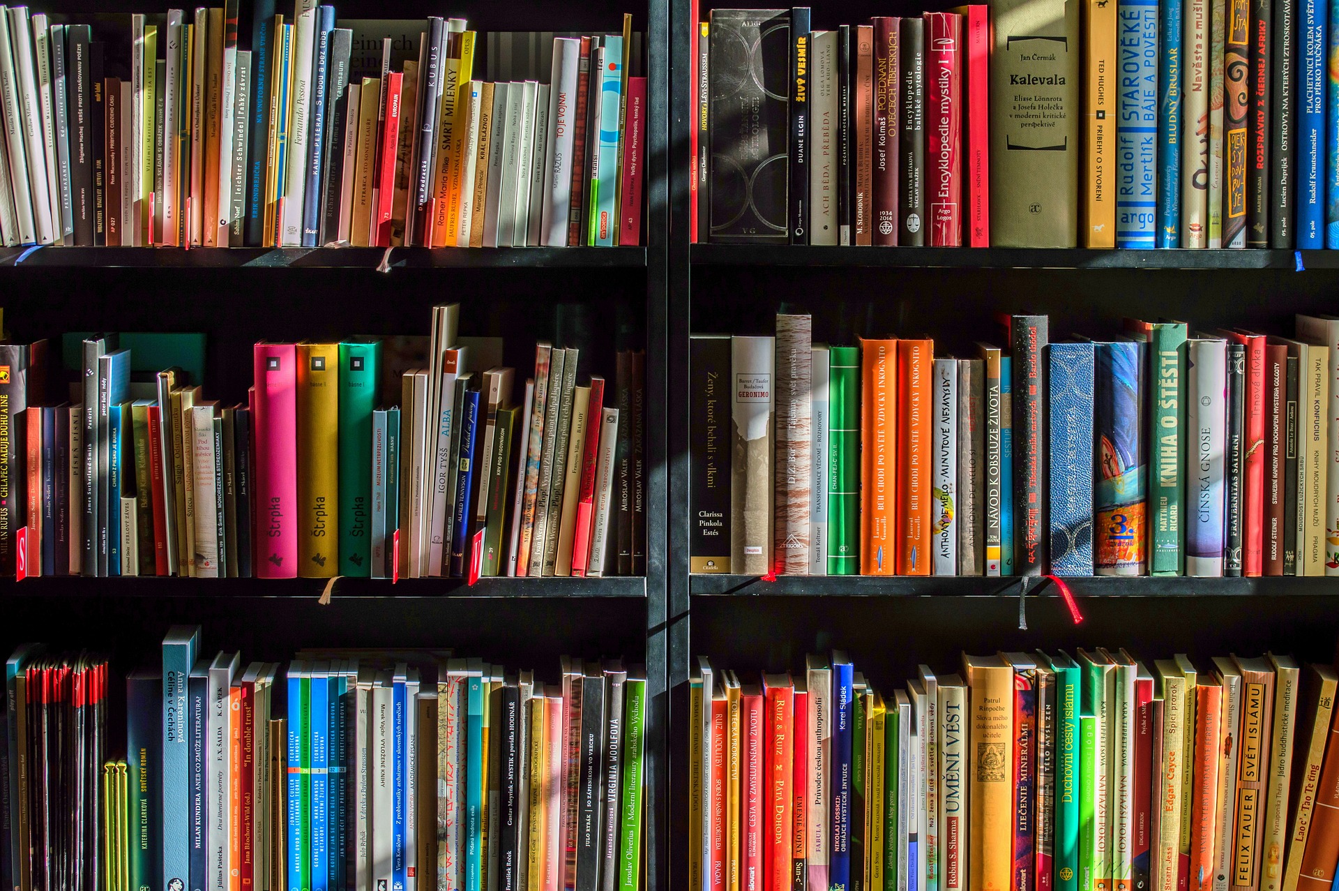Schwarzes Bücherregal mit vielen bunten Büchern